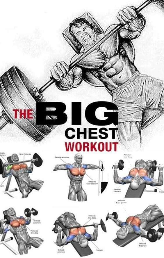The #BIG #CHEST #WORKOUT