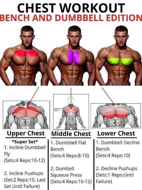 #chest #motivation #workout bench and dumbbell edition #fitness