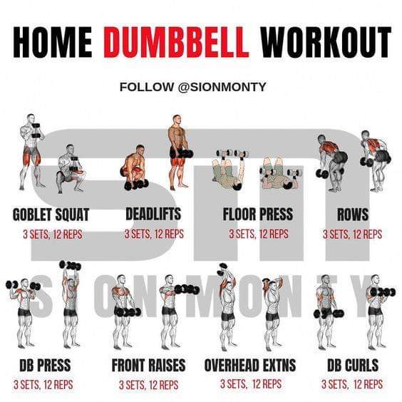 Home #DUMBBELL workout #Fitness #SPORT #musculation #abs #Back ...
