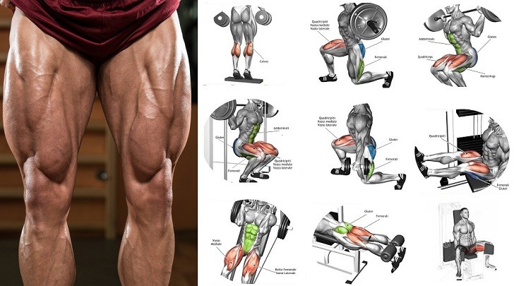 #Top 6 #Exercises on How to Build #Leg Muscle - Seated Calf Raise - #Squat - Lying Leg Curls - Leg Press - Lunges - Hack Squat