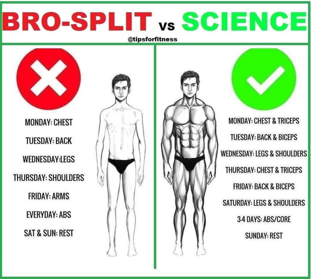 Best #workout program #pro #science vs #broSplit