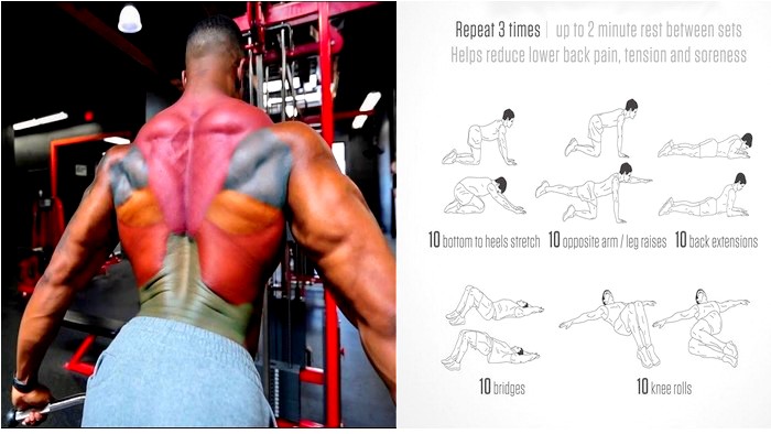 The 8-Minute #Back #Exercises That Help Prevent #BackPain And Eliminate #Fat