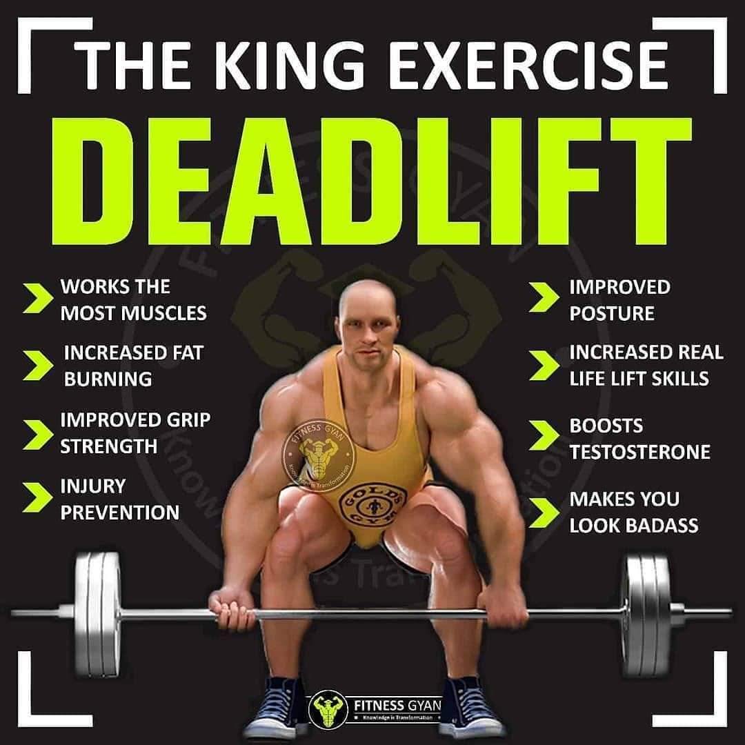 #deadlift the king exercice #exercice #thekingexercice deadlift athelete sport