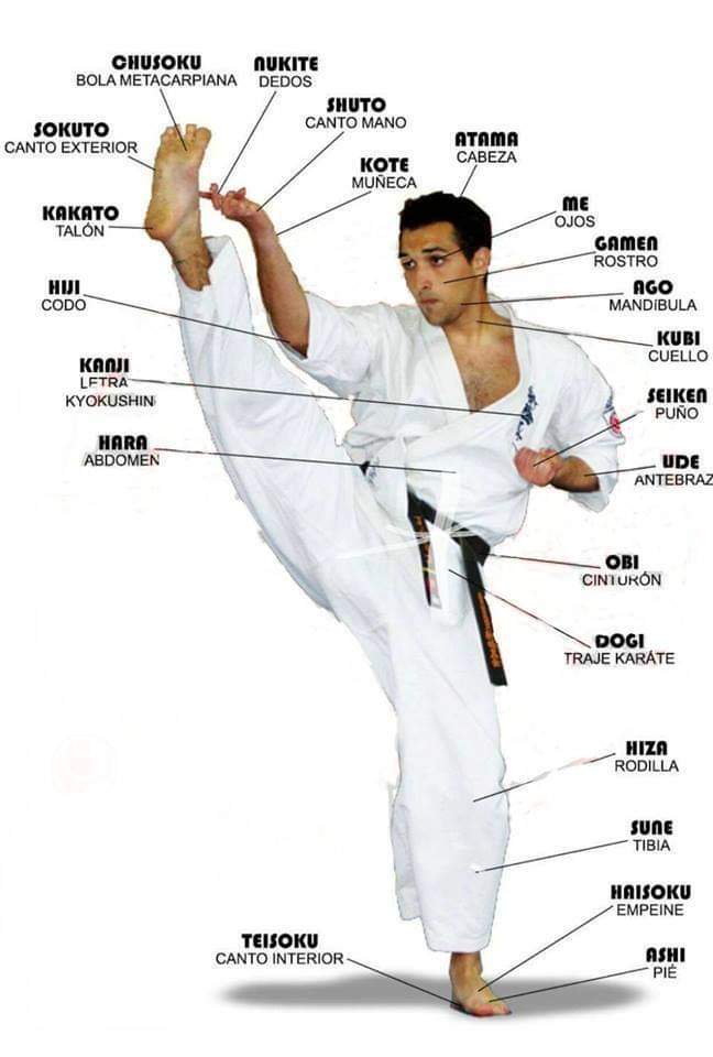 Judo #judo @judo #karate @karate @latlet #kumite  @sport sport