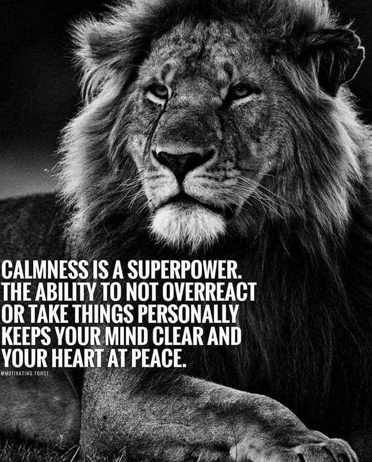 #proverb #quote “Calmness is a human superpower. The ability to not overreact or take things personally keeps your mind clear and your heart at peace.” @MarcandAngel