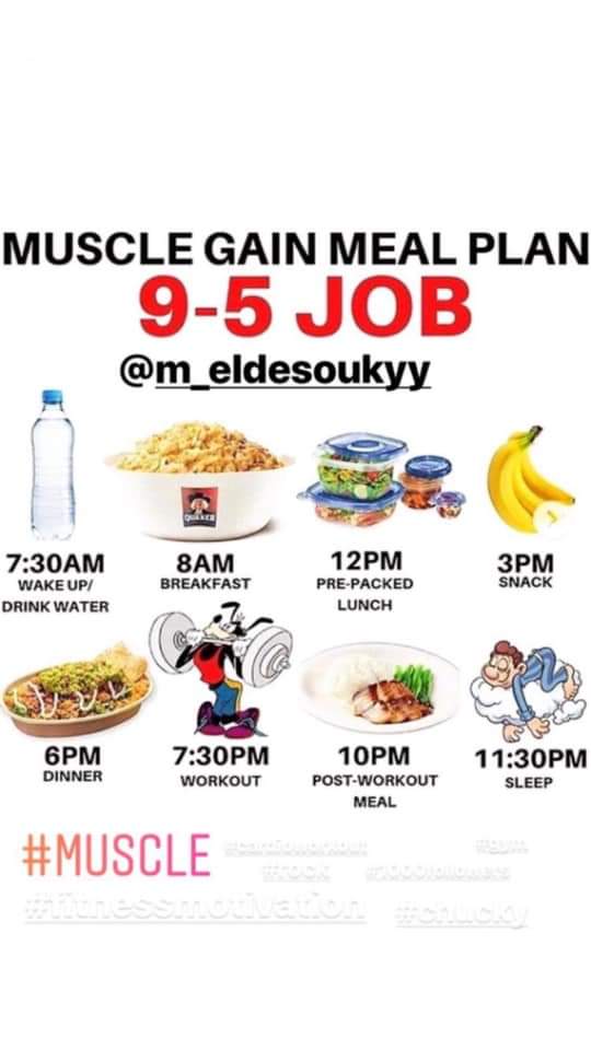 Muscle gain meal plan 9-5 job #gain @muscle #muscle @m_eldesoukyy