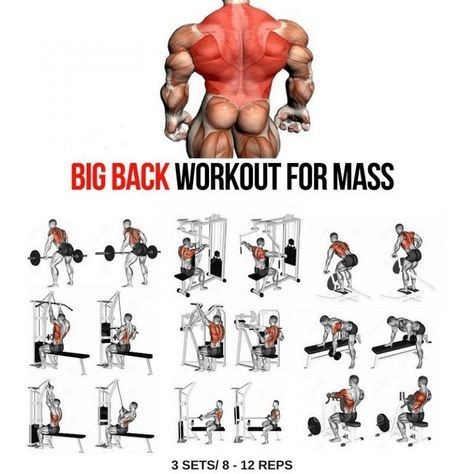 Big back workout for mass #workout #back #mass @latlet @workout @sport #latlet #musculation @training #training  大量の大きなバックワークアウト