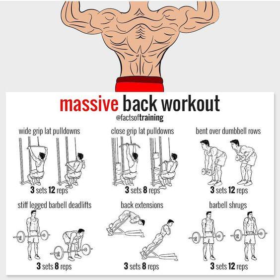 @FactsoftTraining massive back workout @Workout #Worjkout #Back @latlet.com , Wide grip pulldowns , close grip lat pull downs , bent over dumbbell rows , stiff legged barbell deadlifts , back extensions , barbell shrugs