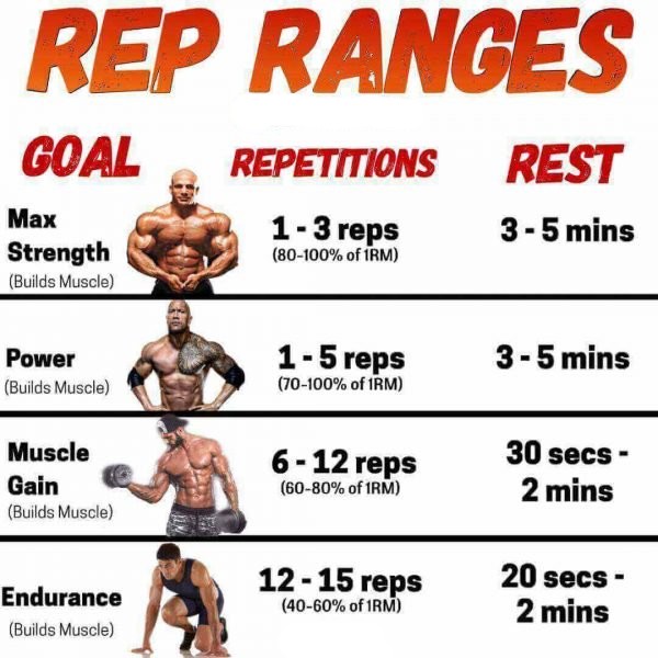 The perfect 8 Weeks Workout Programme For Beginners - Max Strength - Power - Muscle Gain - Endurance #MaxStrength #Power #MuscleGain #Endurance #Workout @Power