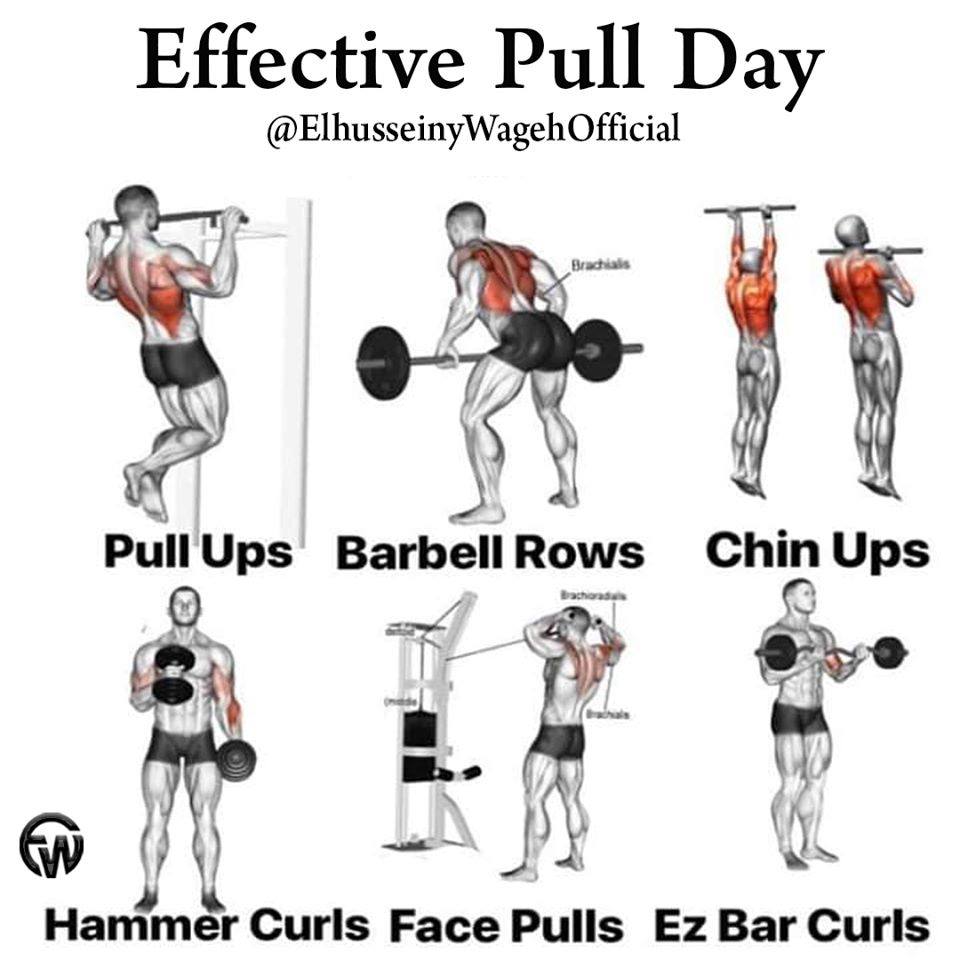 Effective Pull Day @EffectivePullDay #PullUps #BarbellRows #ChinUps #HammerCurls #FacePulls #EzBarCurls