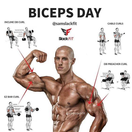 Biceps Day #Biceps - Incline DB Curl - Cable Curls - EZ Bar Curl - DB preacher curl #BodyBuilding #workout #Gym #BicepsDay #Sport #Fitness