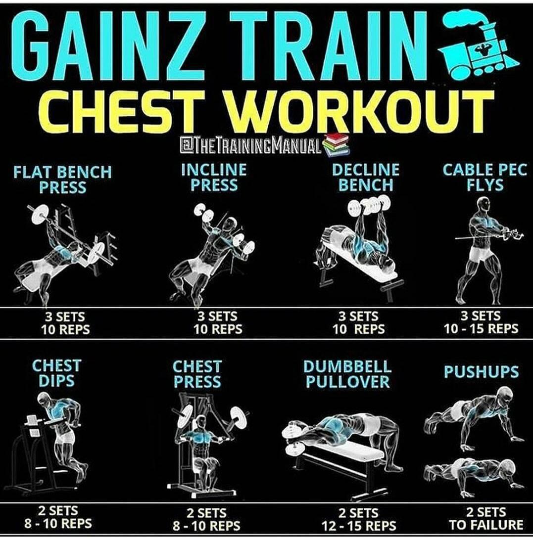 Gainz Train - Chest Workout #Chest #Workout #ChestWorkout #Gain #Mass #Gym #BodyBuilding - Flat Bench Press - Incline Press - Decline Bench - Cable Pec Flys - Chest Dips #Dips - Chest Press - Dumbbell Pullover - PushUps #PushUps