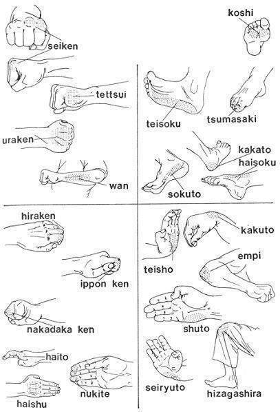 Body Parts used as Weapons in Karate-Do ..~ #BodyParts #Weapons #Karate