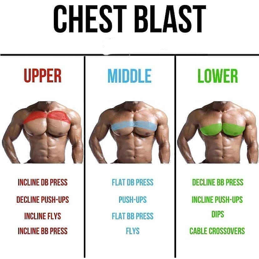 Upper - Middle - Lower Chest Blast #Chest - #Workout best chest exercices #Fitness #BodyBuilding