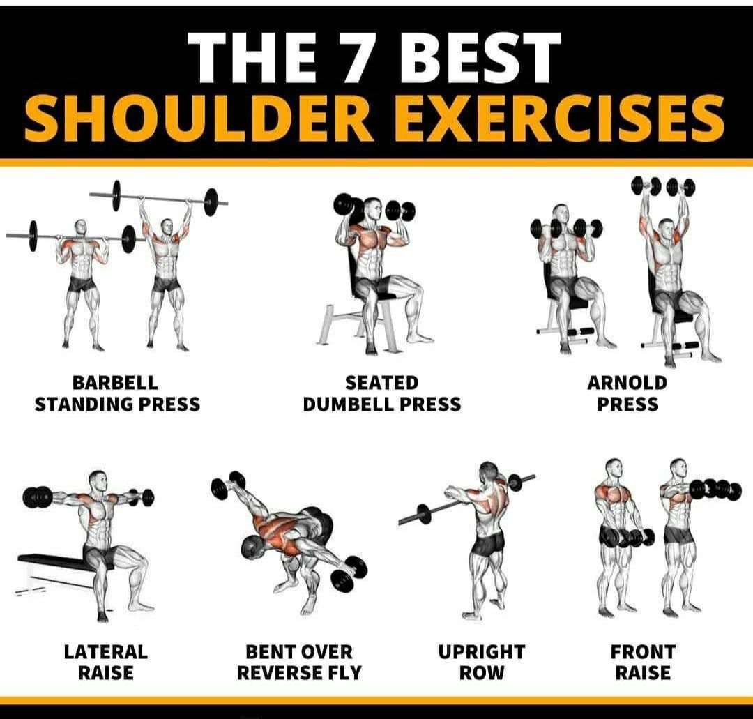 The best 7 shoulder exercices #learnandgrowfitness #Soulder #Workout #Musculation #Sport