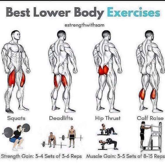 Best lower body exercices  #LowerBody  #Exercices
