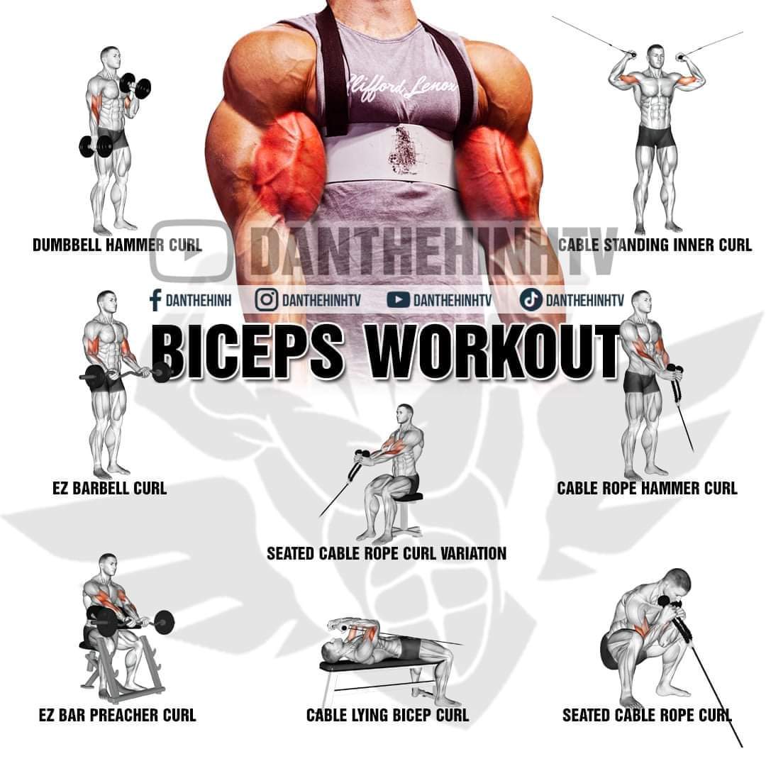 Biceps workout #biceps #workout