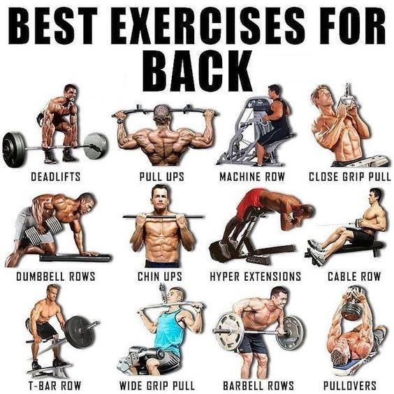 Best exercices for back - #Back #BackWorkout @BackWorkout , Deadlifts , pull ups , machine row , close grip pull , dumbell rows , chin ups , hyper extensions , cable row , t-bar row , wide grip pull , barbel  rows , pullovers, @latlet.com @workout @Exercice #Exercice
