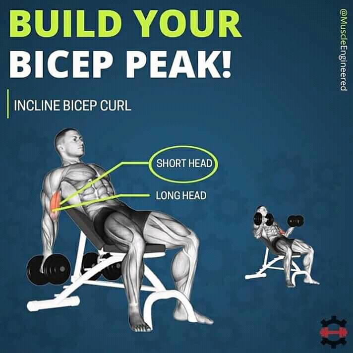 Best exercices to build your biceps & triceps and get them biggeer #Triceps #Biceps #Exercices #MASS  #Motivation #Sport #Workout #Bodybuilding