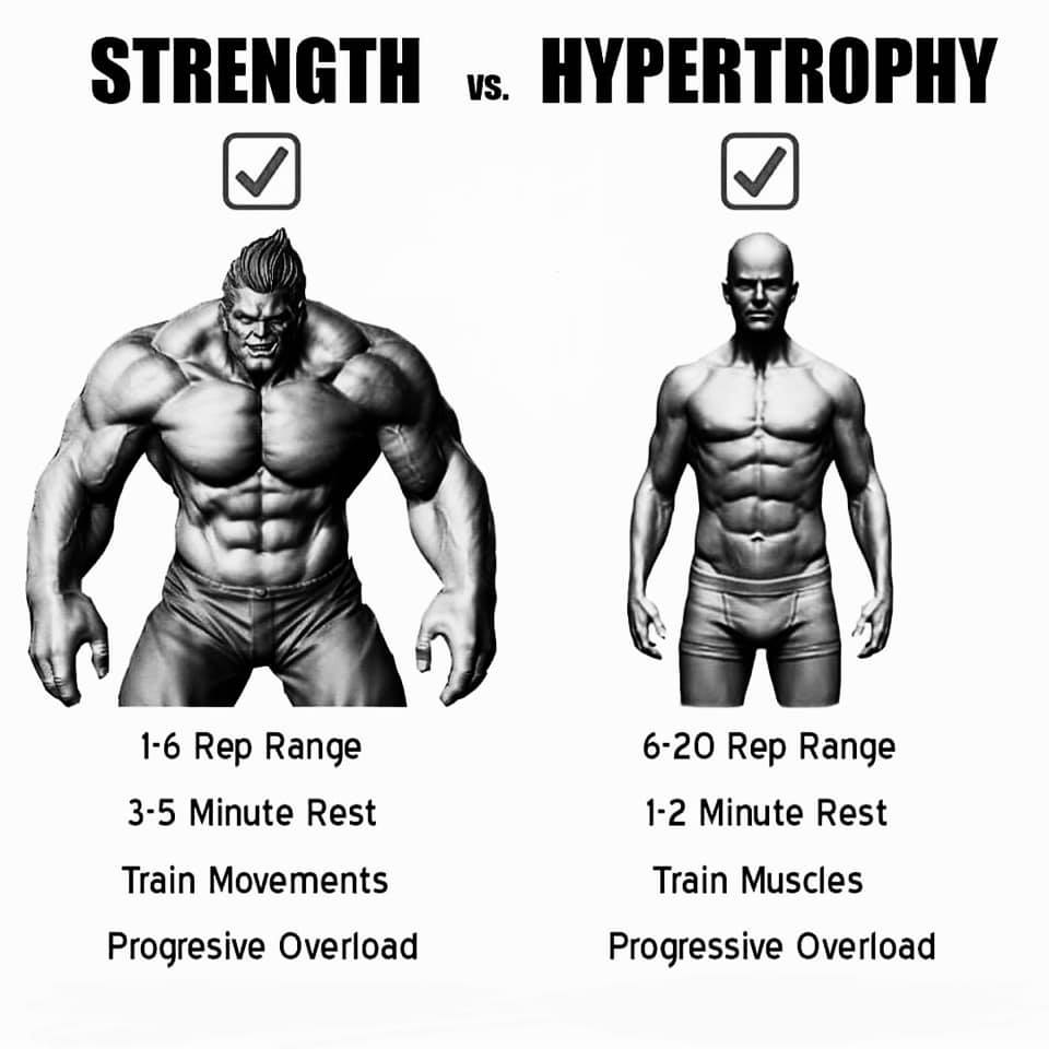 Strength vs Hypertrophy 🔥🔥🔥🔥💪🏻💪🏻 #Strength #vs #Hypertrophy