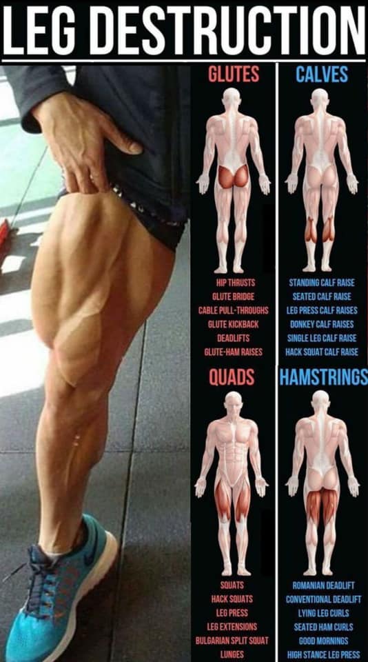 #BodyBuilding #Fitness Do you love to train legs??? Comment your favourite exercises 🔥🔥🔥💪🏻💪🏻💪🏻💪🏻 #Legs #workout #LegsWorkout