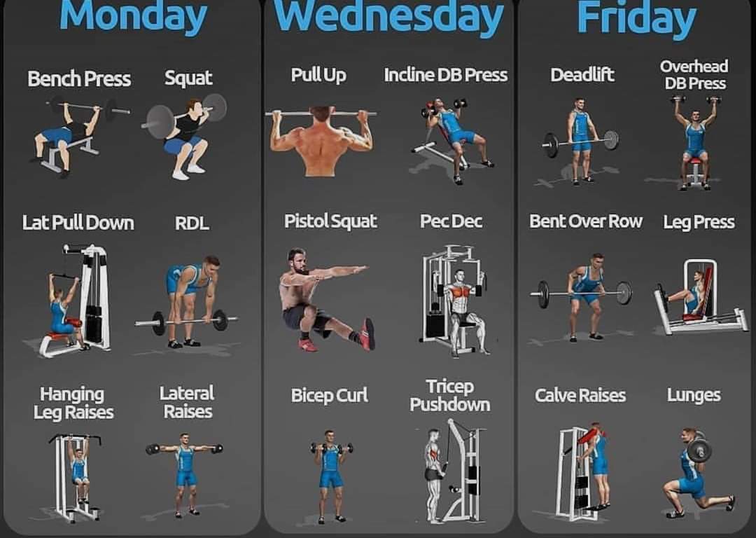Monday Wednesday & friday wprkout to gain muscules and loosing fat #daywek #workout