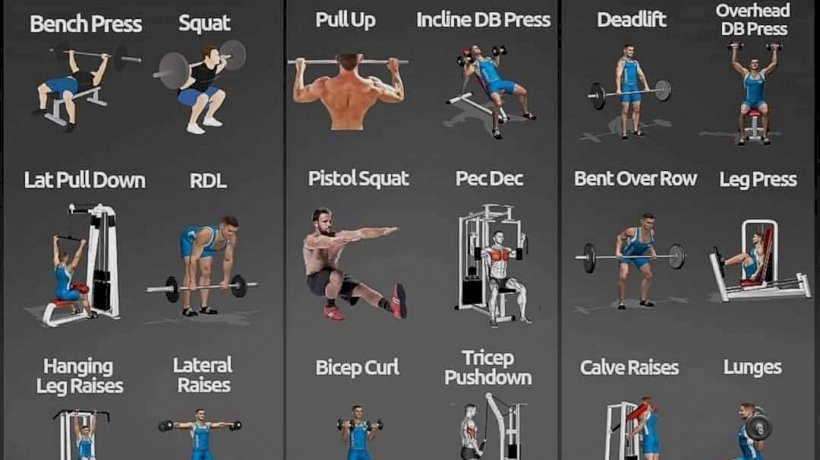 MuscleMorph - Upper & Lower Chest exercises @sionmonty . ⁉️Have