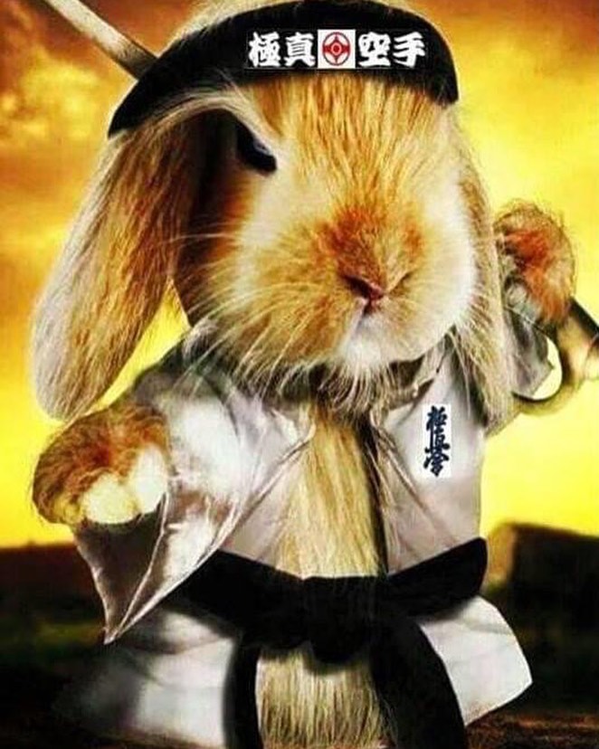happy easter day karate  - kyokushinkai #karate #kyokushinkai #Easter