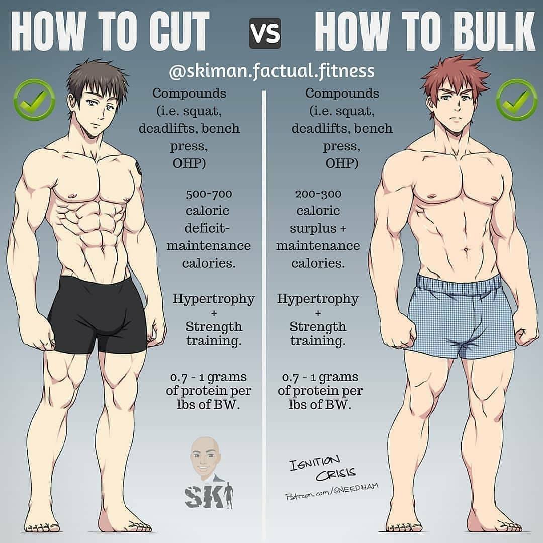 How to cut vs How to bulk #FatBurn #Cut #BULK #GoodToKnow #Know #Diet #Squat #DeadLift #Fitness vs #BodyBuilding
