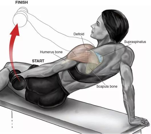 🔽 Shoulders Workout (Y) 🔽