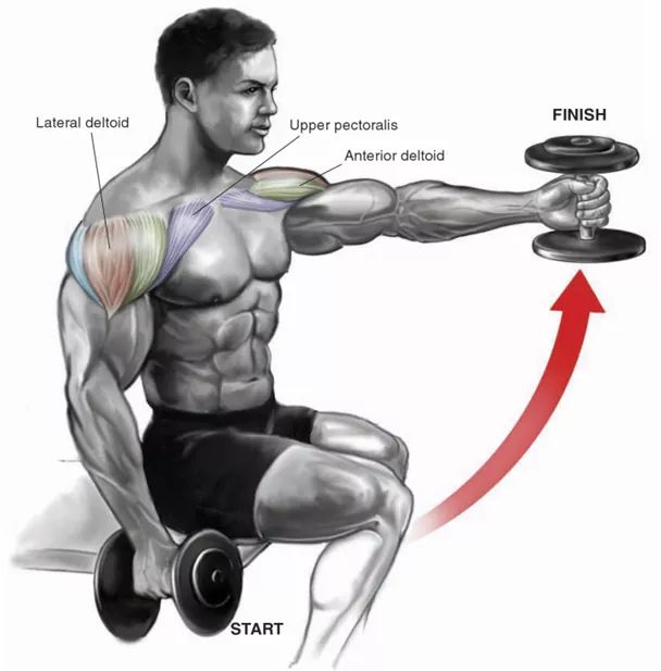 🔽 Shoulders Workout (Y) 🔽