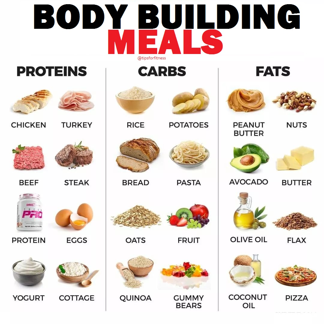 Body Building Meals Plan